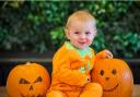 Kids can also strut their spooky style and take part in the garden centre’s annual scare-a-thon