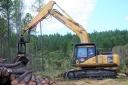 New forestry contract to cut down trees will create 25 jobs in Troon