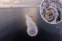 IN PICTURES: 'Witches cauldron' bubbles off Ayrshire coast in unexplained phenomenon