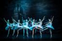 Swan Lake is one of two shows to be performed at the Gaiety by Crown Ballet