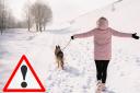 When is it too cold to walk dogs? Expert reveal when you shouldn't walk dogs