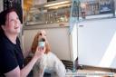 Dog model Phoebe sampling the ice-cream in Girvan Gelateria