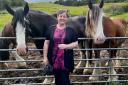 Elena Whitham with some of the horses at the Calm Clydesdale Therapeutic Centre