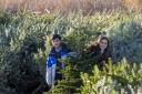 Dobbies Ayr to hand out free Christmas trees to local schools