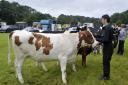Dates have been confirmed for agricultural shows across Ayrshire during 2024