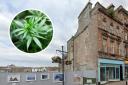 A £167,000 cannabis farm was discovered at 50 High Street, Ayr - with Elion Kullag inside the premises