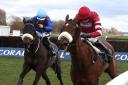 The Scottish Grand National is set to take place later this month.
