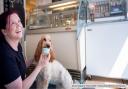 Dog model Phoebe sampling the ice-cream in Girvan Gelataria (photo credit - Victoria Rose, Flaunt and Flourish)