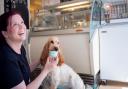 Dog model Phoebe sampling the ice-cream in Girvan Gelateria
