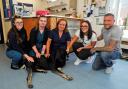 Team members at Collier and Brock Vets with Nala and her owners