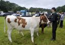 Dates have been confirmed for agricultural shows across Ayrshire during 2024