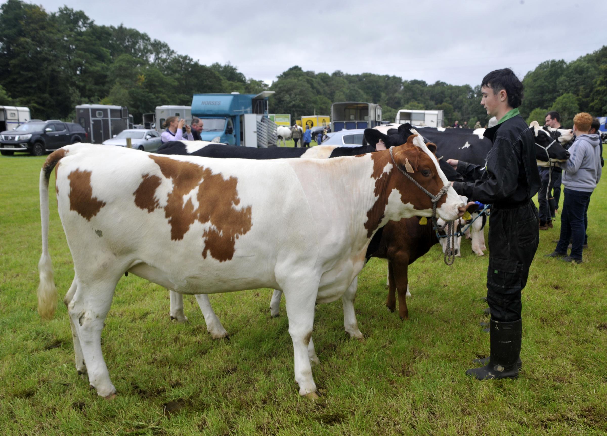 The Coylton Agricultural Show was held at Drumdow farm on August 19 (Photo: Charlie Gilmour)