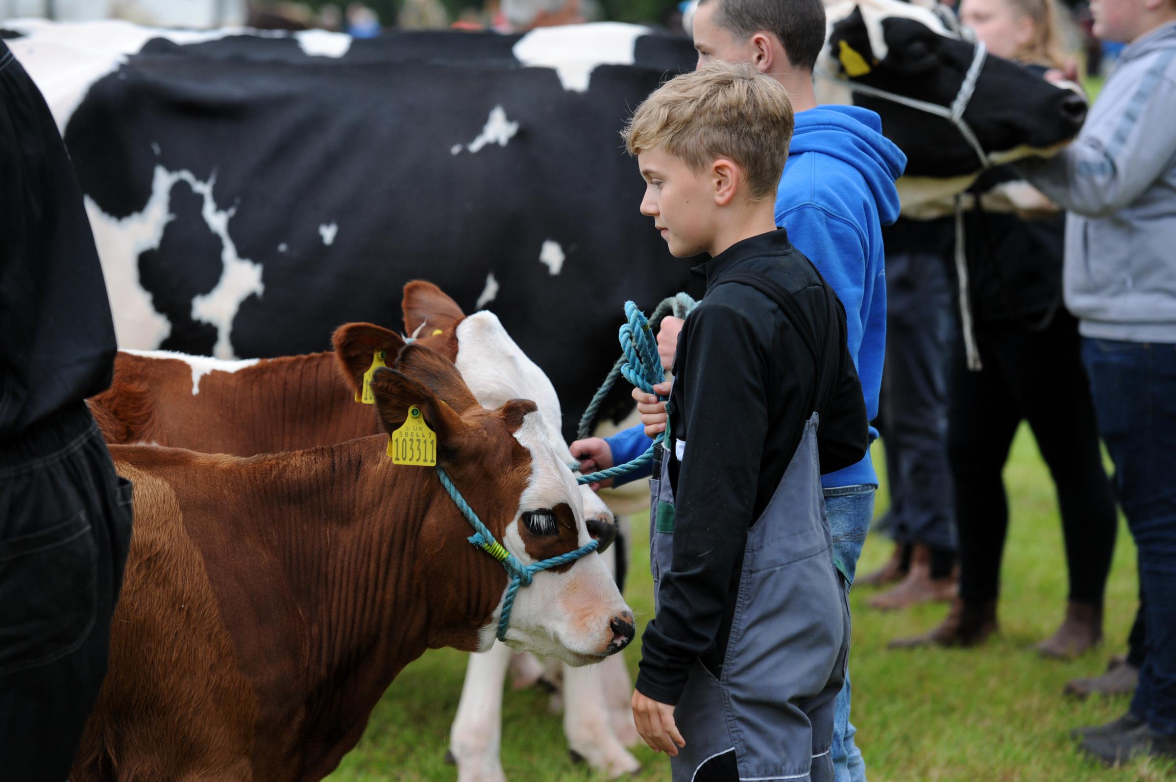The Coylton Agricultural Show was held at Drumdow farm on August 19 (Photo: Charlie Gilmour)