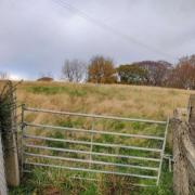 The existing gate into the field
