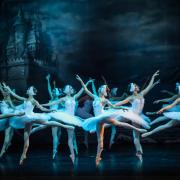 Swan Lake is one of two shows to be performed at the Gaiety by Crown Ballet