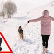 When is it too cold to walk dogs? Expert reveal when you shouldn't walk dogs