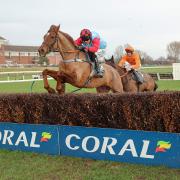 Ardera Cross is a multiple winner at Ayr and returns to the course on February 13