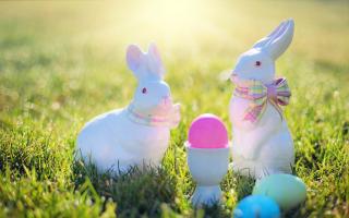 Two Easter bunnies sitting by Easter eggs in the grass. Credit: Canva