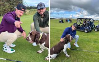 Bob the springer spaniel got a picture with some of the Good Good boys with Rick Shiels in the background.